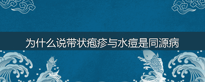 为什么说带状疱疹与水痘是同源病