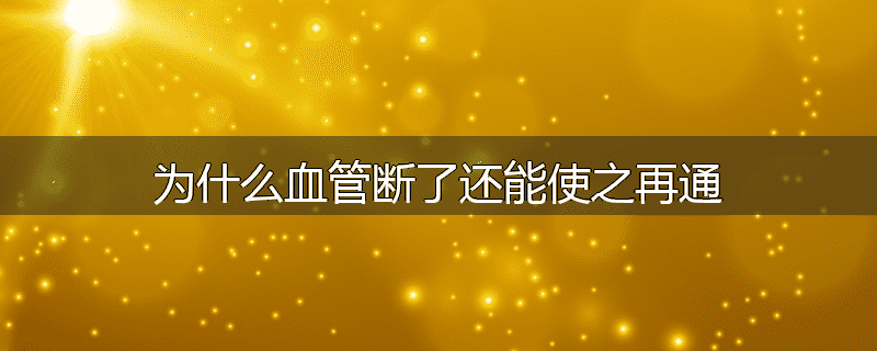 为什么血管断了还能使之再通
