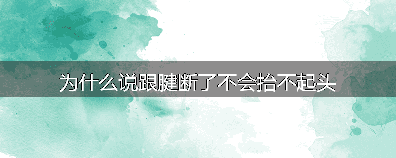 为什么说跟腱断了不会抬不起头