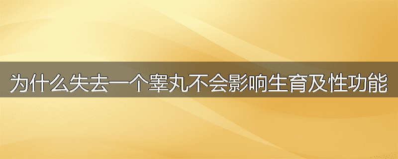 为什么失去一个睾丸不会影响生育及性功能