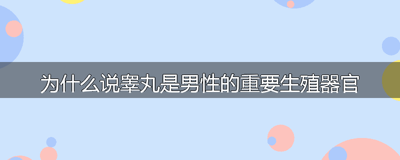 为什么说睾丸是男性的重要生殖器官