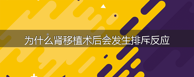 为什么肾移植术后会发生排斥反应