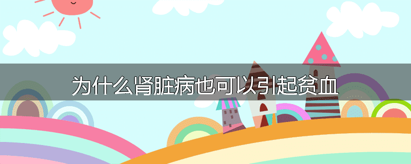 为什么肾脏病也可以引起贫血