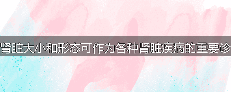 为什么肾脏大小和形态可作为各种肾脏疾病的重要诊断依据