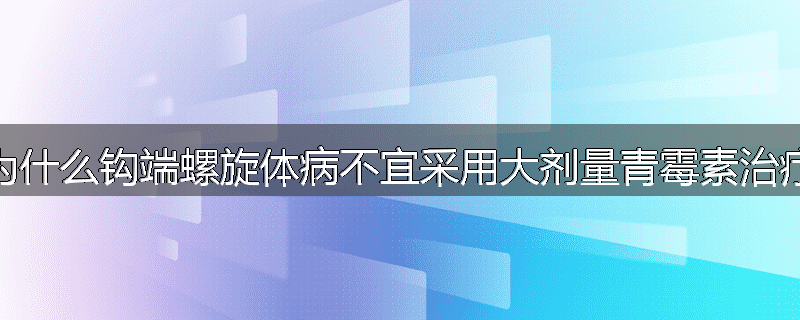 为什么钩端螺旋体病不宜采用大剂量青霉素治疗
