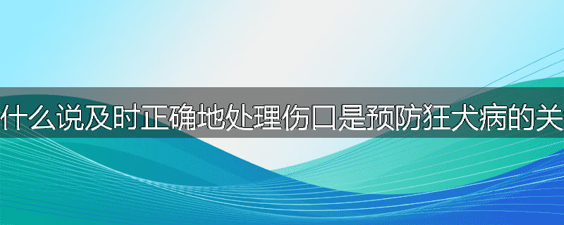 为什么说及时正确地处理伤口是预防狂犬病的关键