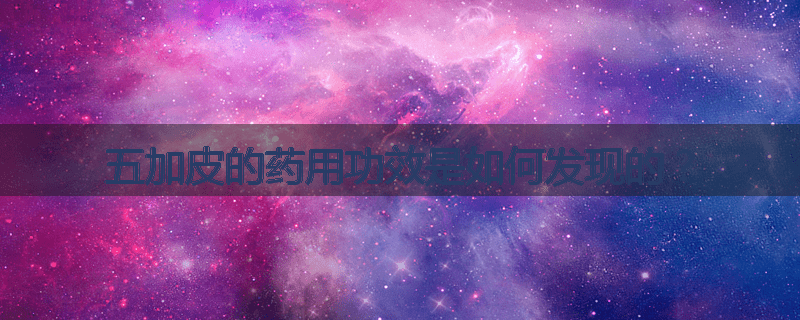 五加皮的药用功效是如何发现的？