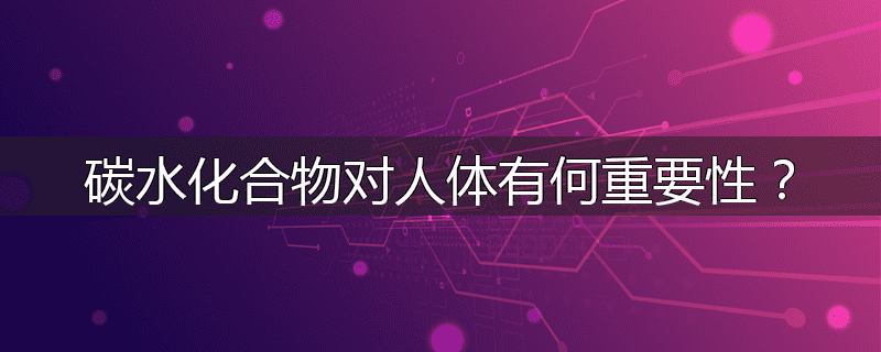 碳水化合物对人体有何重要性?