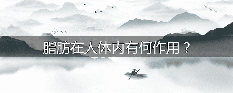 脂肪在人体内有何作用?