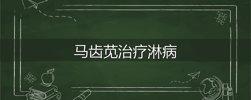 马齿苋治疗淋病