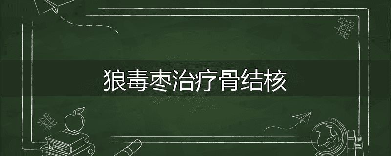 狼毒枣治疗骨结核