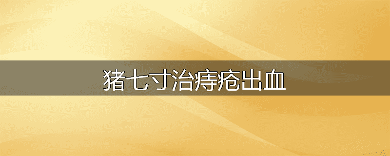 猪七寸治痔疮出血