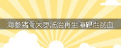 海参猪骨大枣汤治再生障碍性贫血