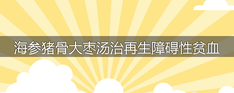 海参猪骨大枣汤治再生障碍性贫血