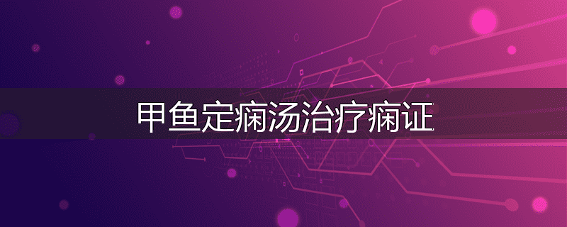 甲鱼定痫汤治疗痫证