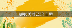 栀豉荠菜汤治血尿