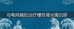 乌龟炖猪肚治疗慢性肾炎蛋白尿