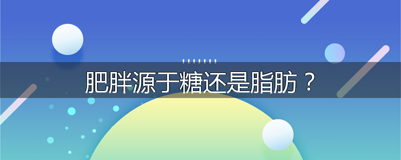 肥胖源于糖还是脂肪?