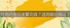 外用药有何主要功效？适用哪些病证？