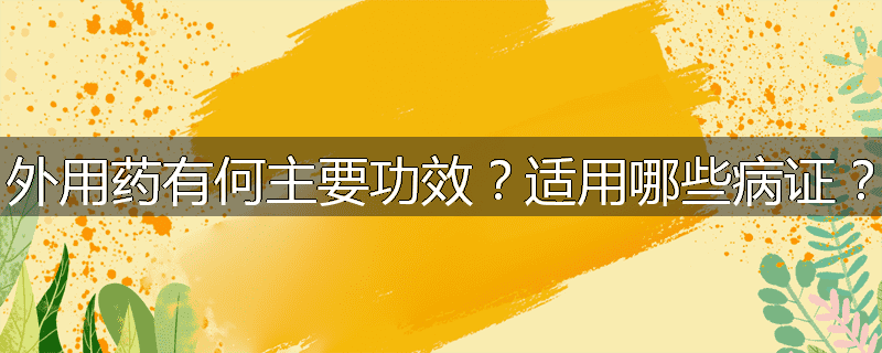 外用药有何主要功效？适用哪些病证？
