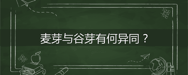 麦芽与谷芽有何异同？