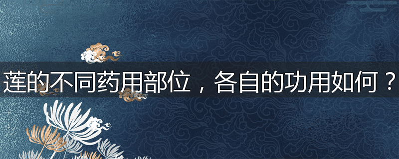 莲的不同药用部位,各自的功用如何?