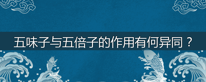 五味子与五倍子的作用有何异同？