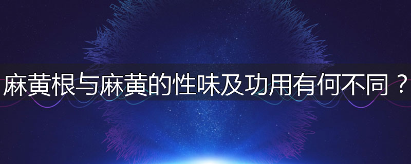 麻黄根与麻黄的性味及功用有何不同?