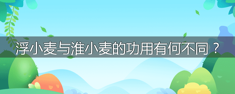 浮小麦与淮小麦的功用有何不同？