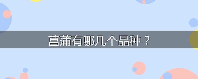 菖蒲有哪几个品种？