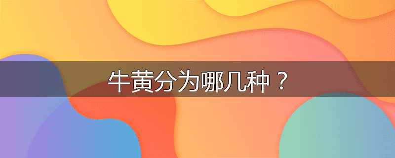 牛黄分为哪几种?
