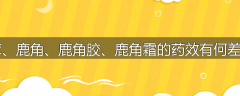 鹿茸、鹿角、鹿角胶、鹿角霜的药效有何差别?