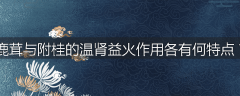 鹿茸与附桂的温肾益火作用各有何特点？