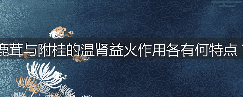 鹿茸与附桂的温肾益火作用各有何特点？