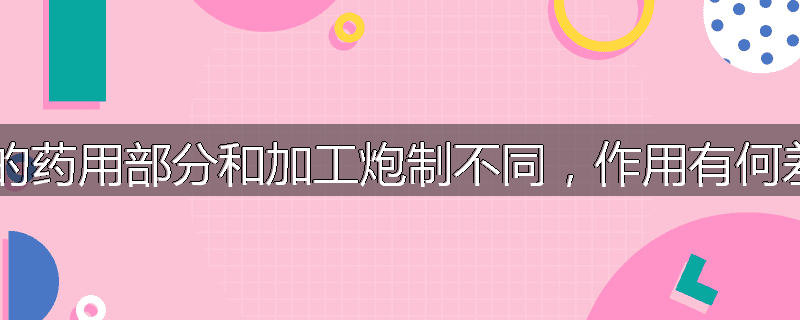 当归的药用部分和加工炮制不同,作用有何差别?
