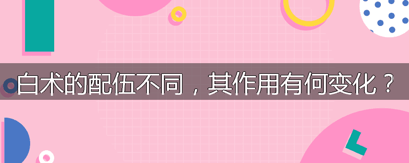 白术的配伍不同，其作用有何变化？