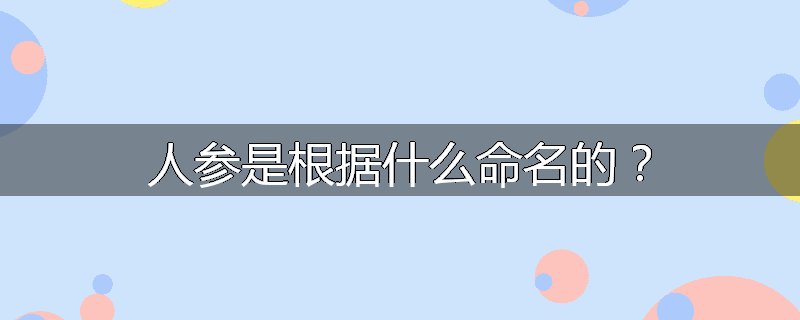 人参是根据什么命名的？
