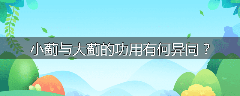 小蓟与大蓟的功用有何异同？