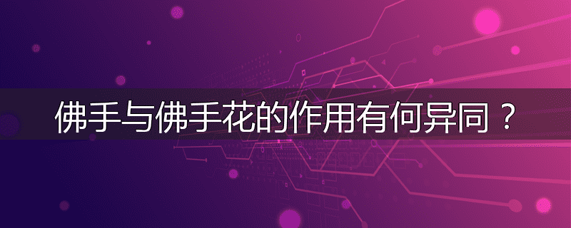 佛手与佛手花的作用有何异同？