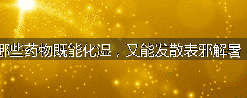 哪些药物既能化湿，又能发散表邪解暑？