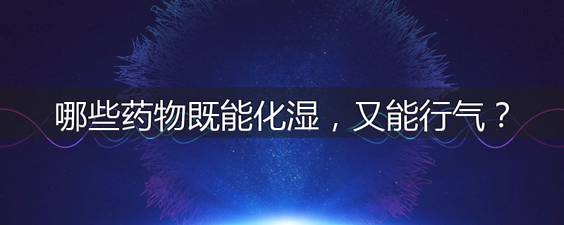 哪些药物既能化湿，又能行气？