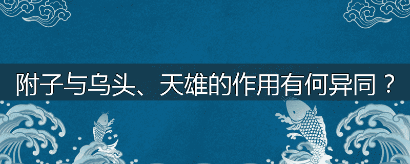 附子与乌头、天雄的作用有何异同？