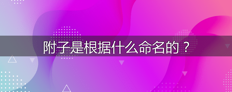 附子是根据什么命名的？