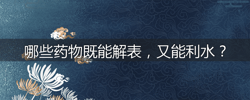哪些药物既能解表，又能利水？