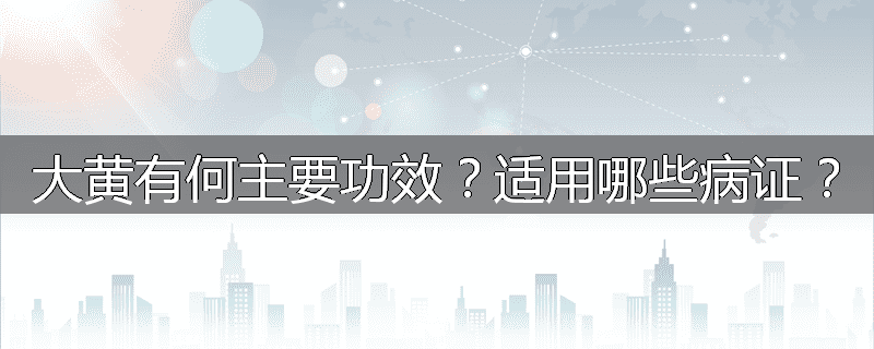 大黄有何主要功效?适用哪些病证?
