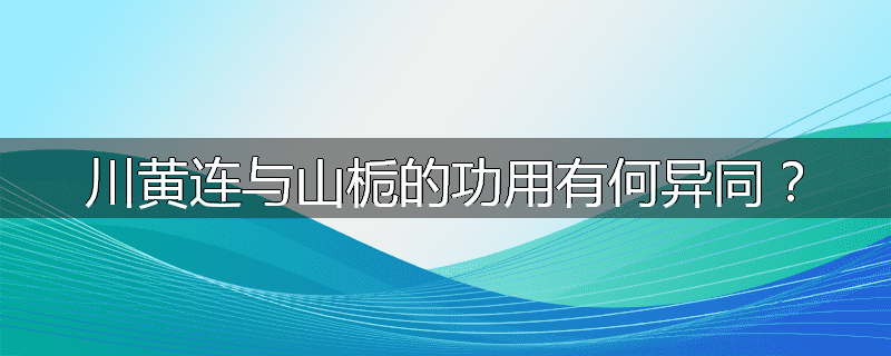 川黄连与山栀的功用有何异同?