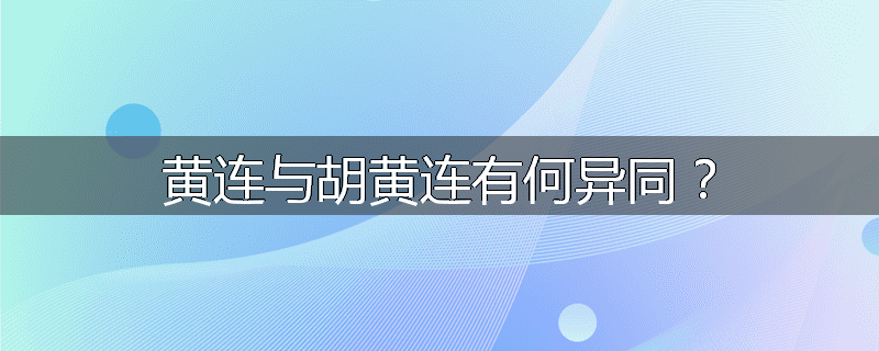 黄连与胡黄连有何异同？