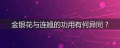 金银花与连翘的功用有何异同？
