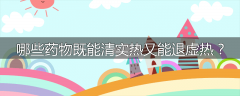 哪些药物既能清实热又能退虚热?