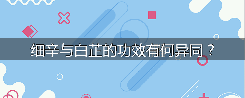 细辛与白芷的功效有何异同？